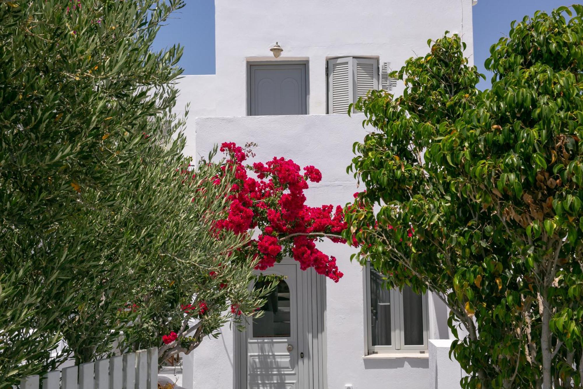 Sensia Luxury Apartment With Hot Tub Oia  Extérieur photo